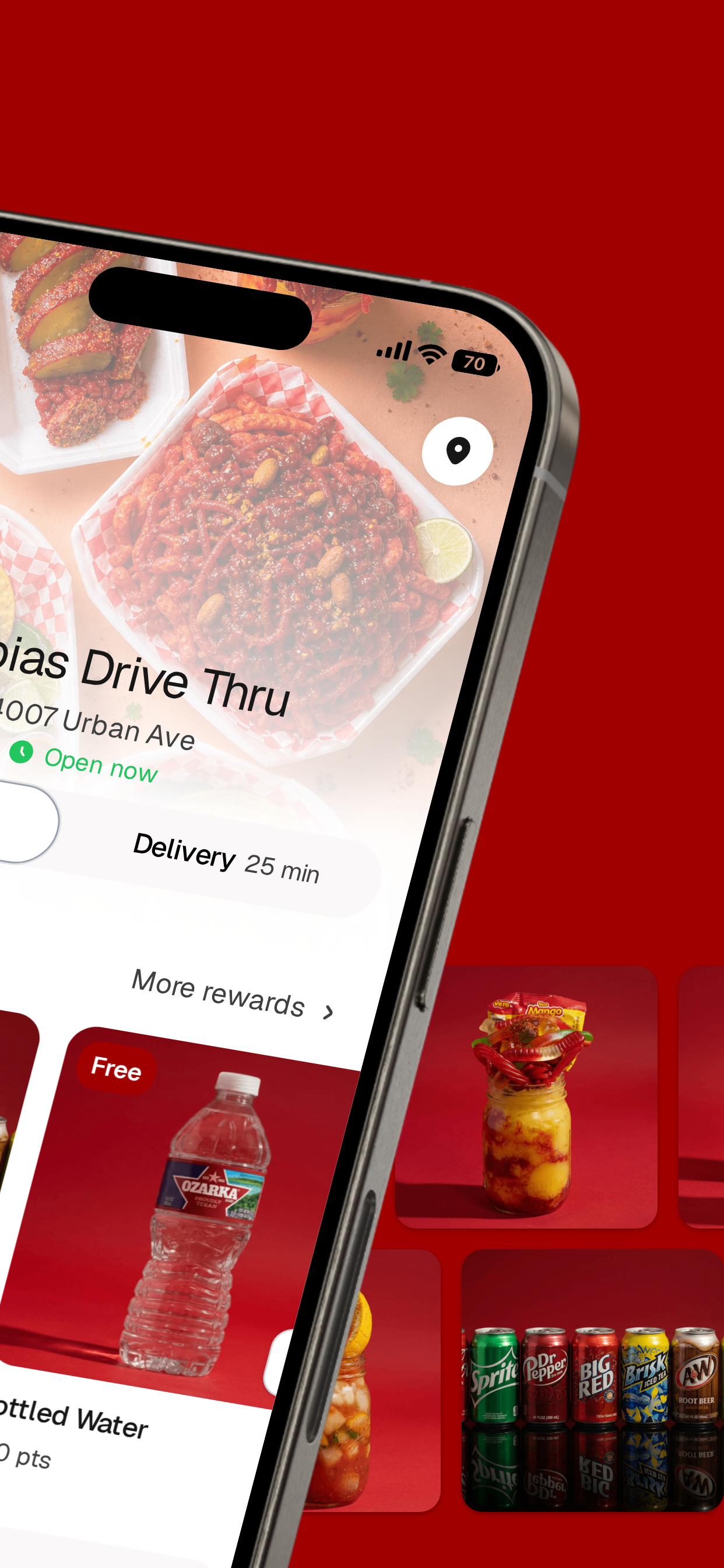 Nubias Drive Thru screenshot 2