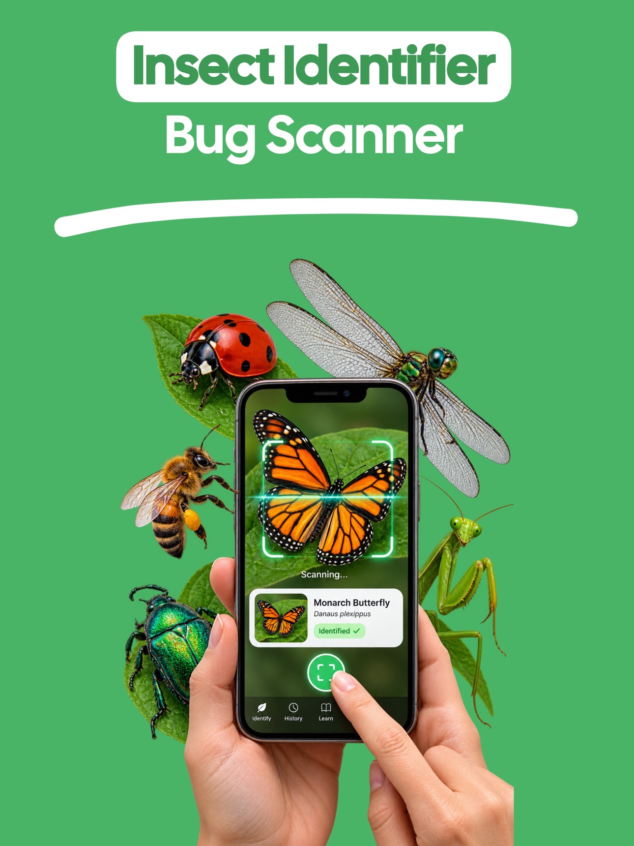 Screenshot 9 of Insect Identifier uk-Butterfly