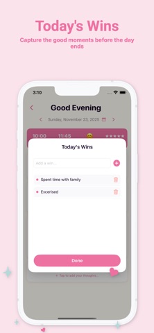 Morning Routine Evening Diary iPhone screenshot