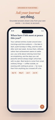 Vesta: AI Journal & Diary iPhone screenshot