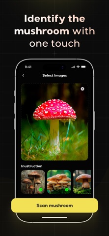 Mushroom Identifier: Finder AI screenshot