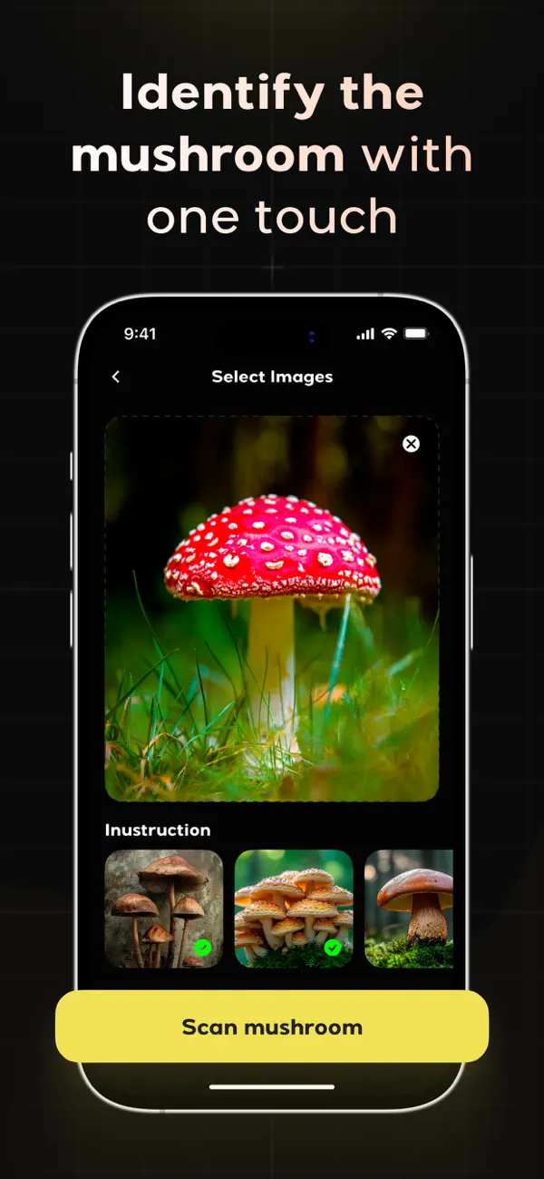 Screenshot #2 pour Mushroom Identifier: Finder AI
