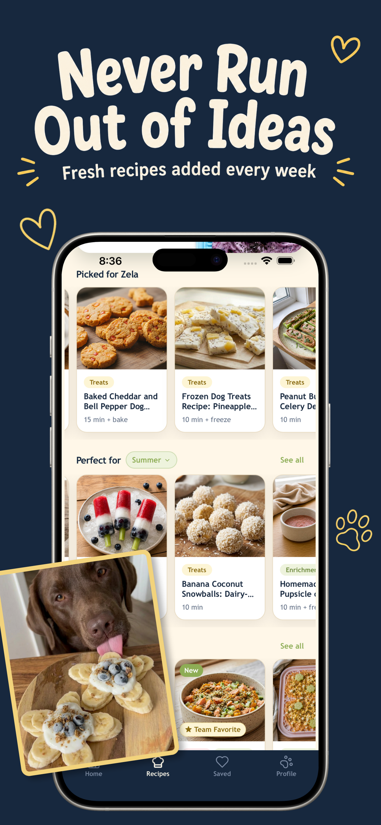 WellWhisker: Dog & Cat Recipes screenshot 2