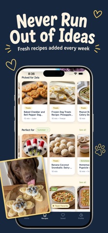 WellWhisker: Dog & Cat Recipes iPhone screenshot