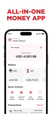 PayPlus LB screenshot 3
