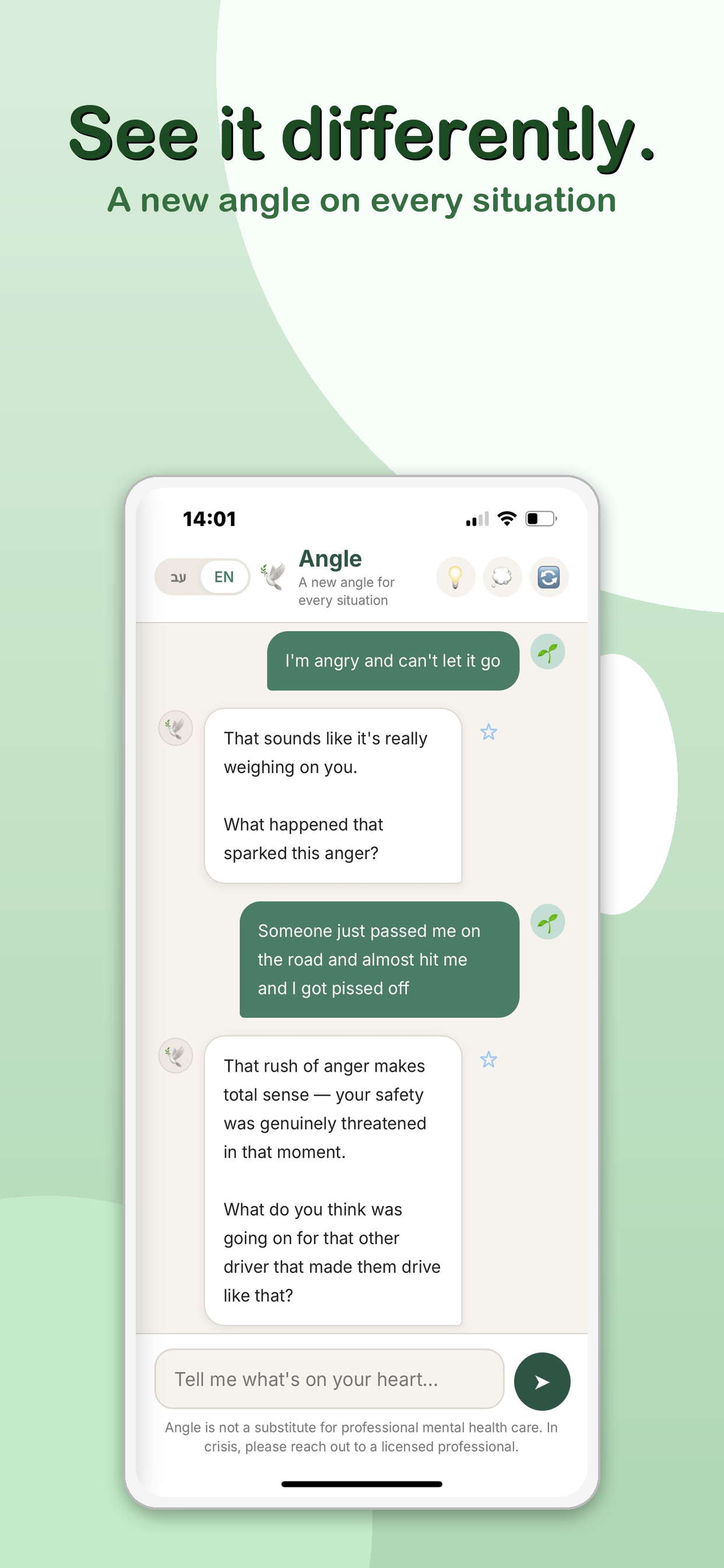 Angle screenshot 5