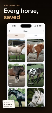 Horse Identifier & Breed ID iPhone screenshot
