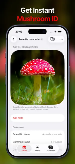 Mushroom Identifier: Fungectra screenshot 2