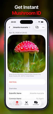 Mushroom Identifier: Fungectra Screenshot 2 of 7