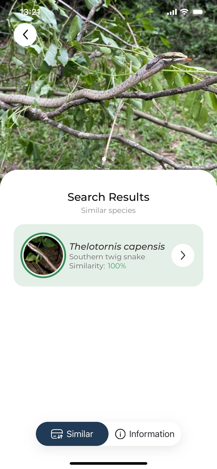 Snake name - identify snakes