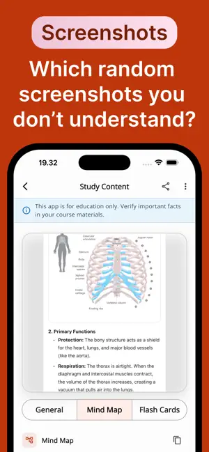 Anatomy Note Mindmap Flashcard screenshot 4