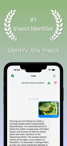 Insect & Bug Identifier AI screenshot