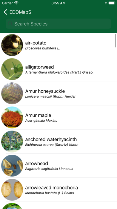 Screenshot #2 pour EDDMapS