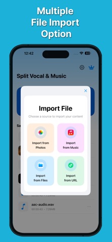 AI Vocal Remover : Split Music iPhone screenshot