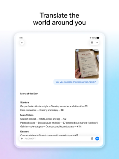 ChatGPT screenshot 13