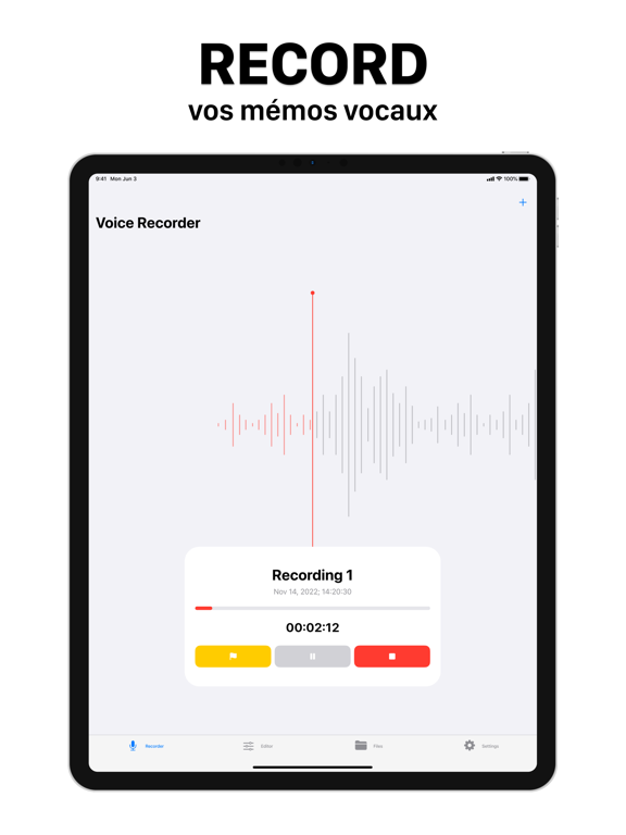 Screenshot #4 pour AI Dictaphone