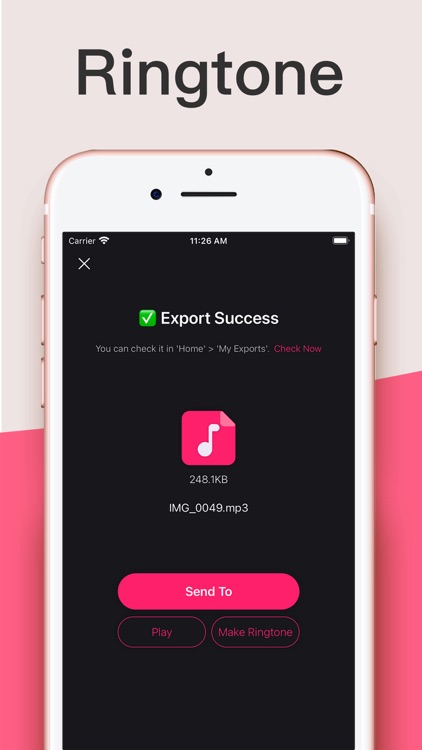 Audio Extractor: Vid2Audio