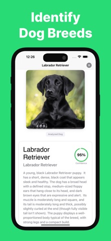 Dog Scanner: Puppy Identifier Screenshot 1 of 3