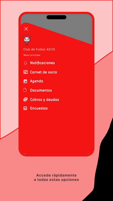 Club Futbol 40(15 Screenshot