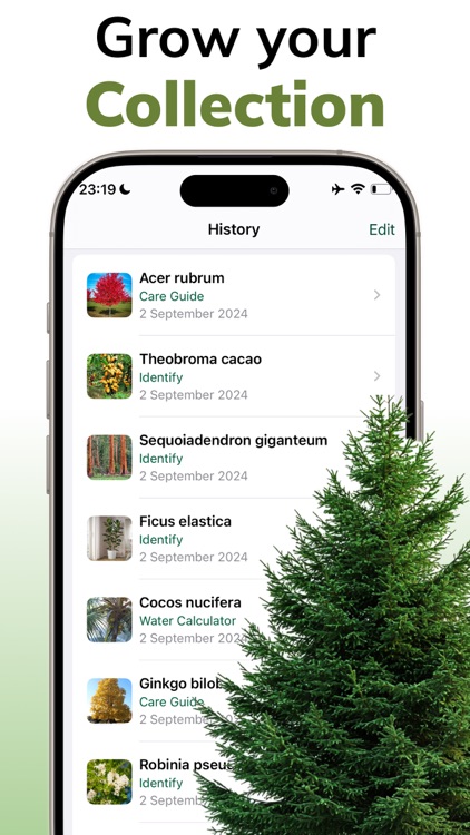 Tree Identification: ID Trees screenshot-4