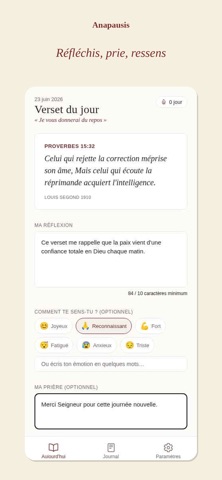 Anapausis screenshot