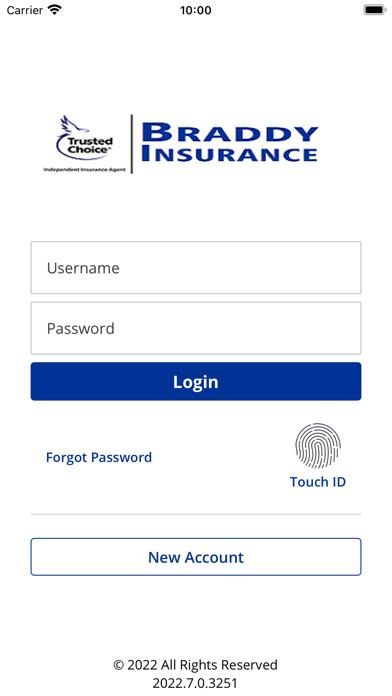 Braddy Insurance, Inc Online Screenshot
