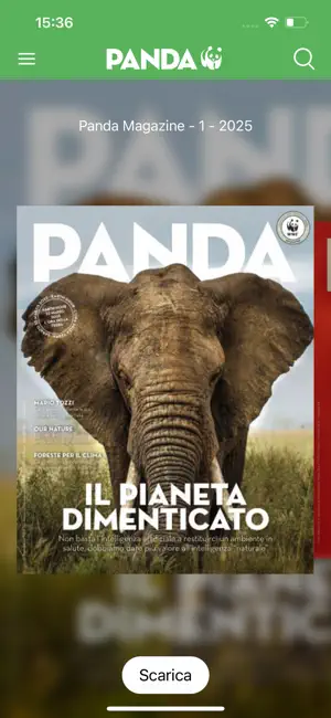 Panda Magazine screenshot 2