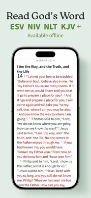 Exegesis: Bible Study 2