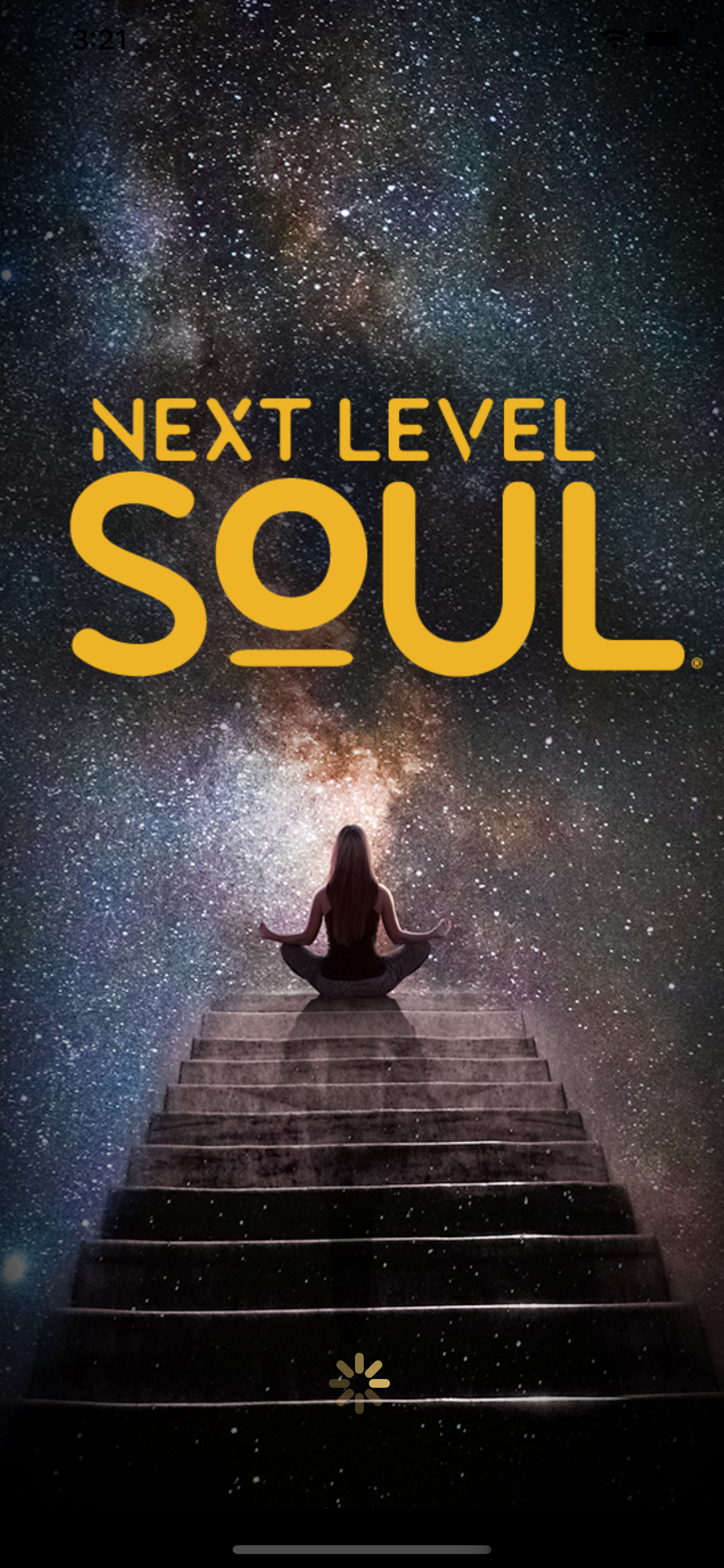 Next Level Soul