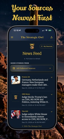 The Strategic Owl Screenshot 1 of 7