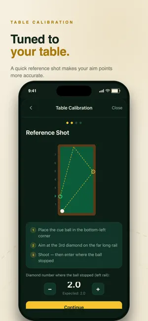 Bricole: 3-Cushion Billiards screenshot 3