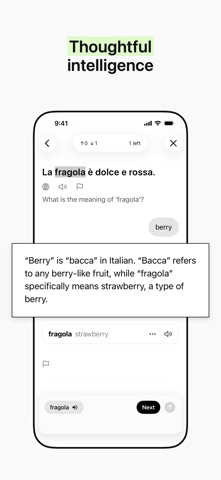 Meanings: Study Vocabulary screenshot