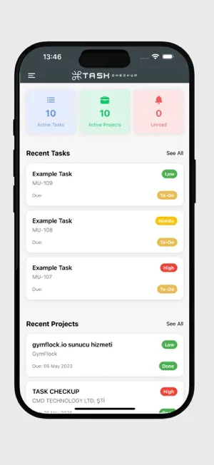 Task Checkup screenshot 2