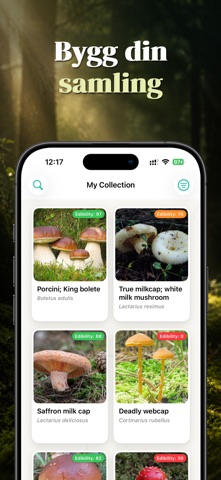 Svamp ID: ShroomAI iPhone screenshot 6
