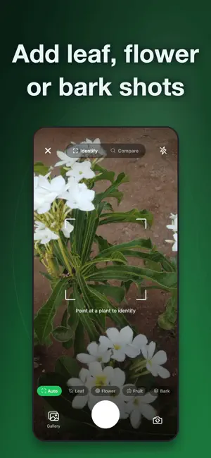 Plant Identifier・Tree ID screenshot 2