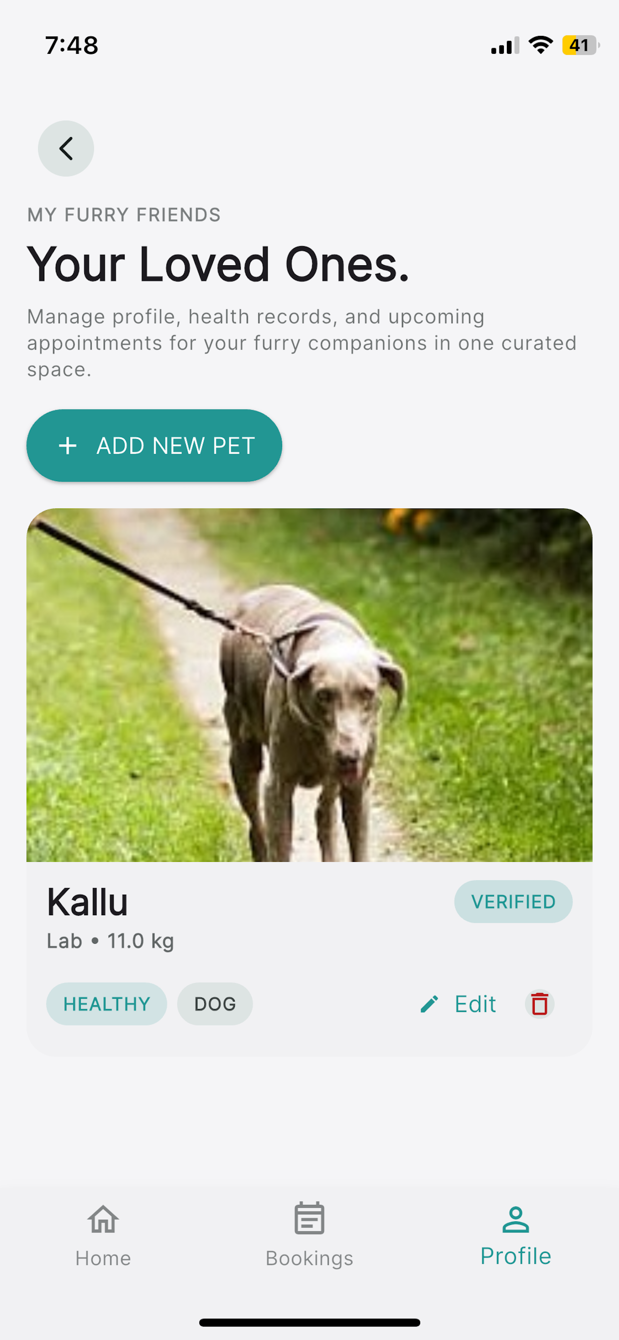 Dazipets user screenshot 3