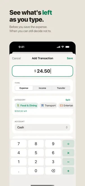 Tino: Budget & Spending screenshot 4