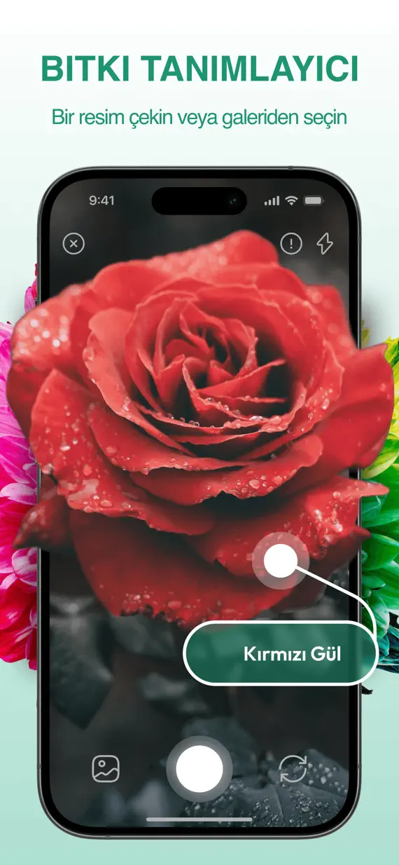 PlantExpert Leaf Identifier screenshot 1