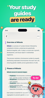 Poki AI Flashcards Maker for Smarter Study