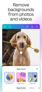 Canva AI Photo & Video Editor screenshot 8