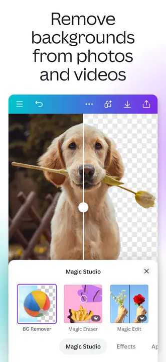 Canva: Screenshot 8 von 10