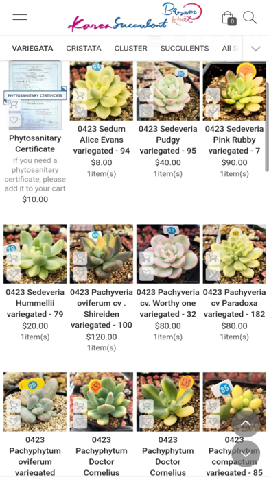Korea Succulents Screenshot 2 - AppWisp.com Korea Succulents Screenshot 2 - AppWisp.com