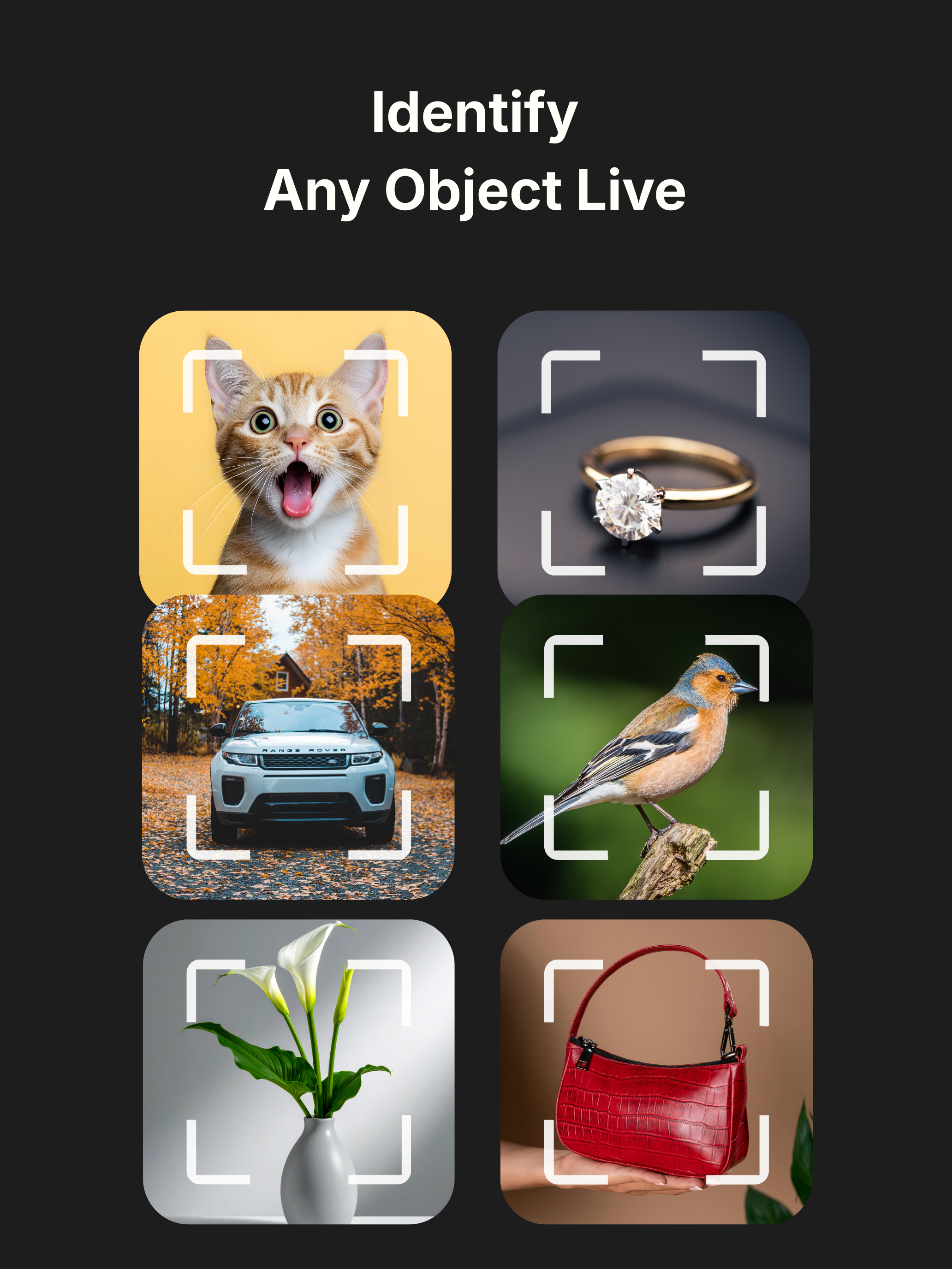 Identify Anything: LiveScan AI
