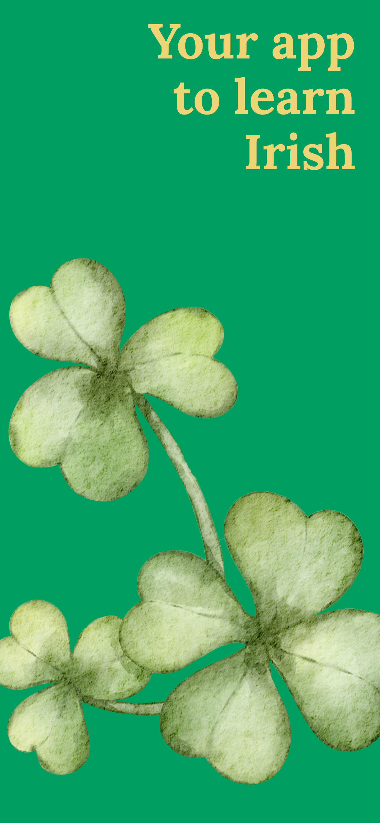 Learn Irish (Beginners)