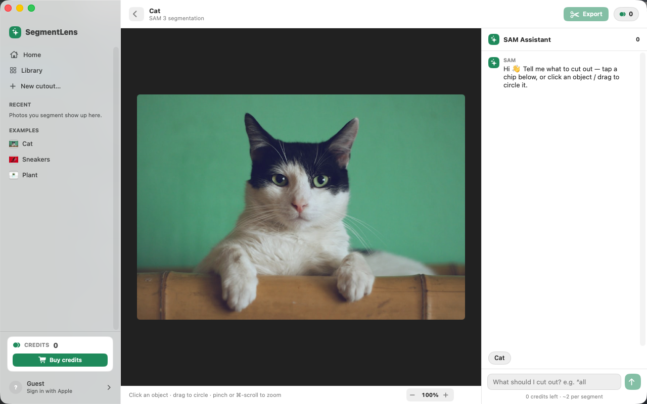SegmentLens screenshot 6