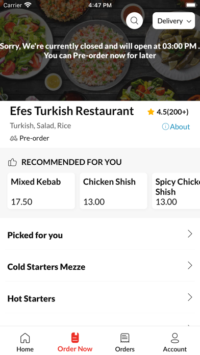 Efes Turkish Restaurant Screenshot