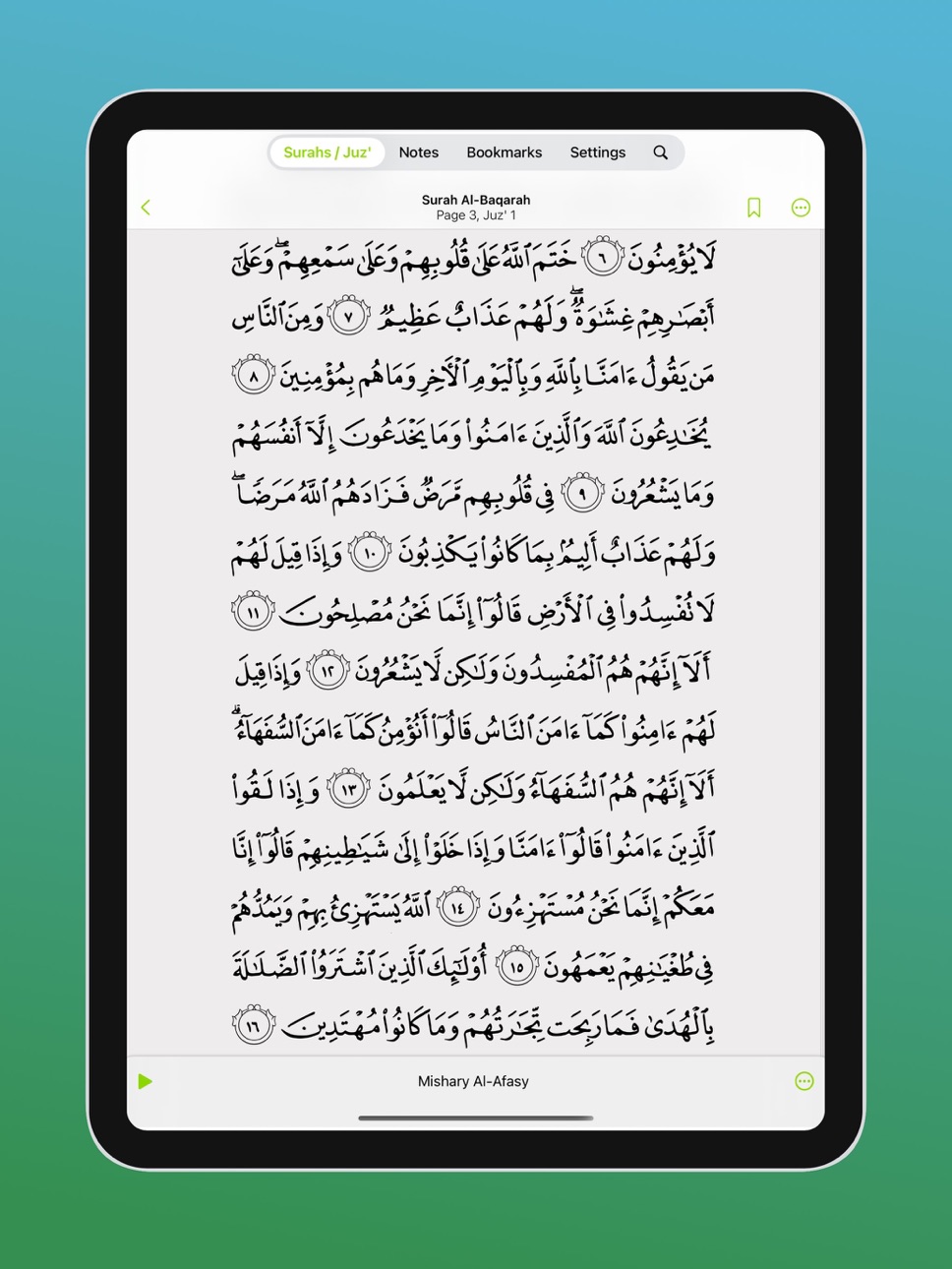 iPad screenshot