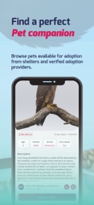 Tailix | Pet Marketplace Qatar screenshot