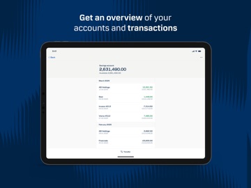 District Mobile - Danske Bank iPad screenshot