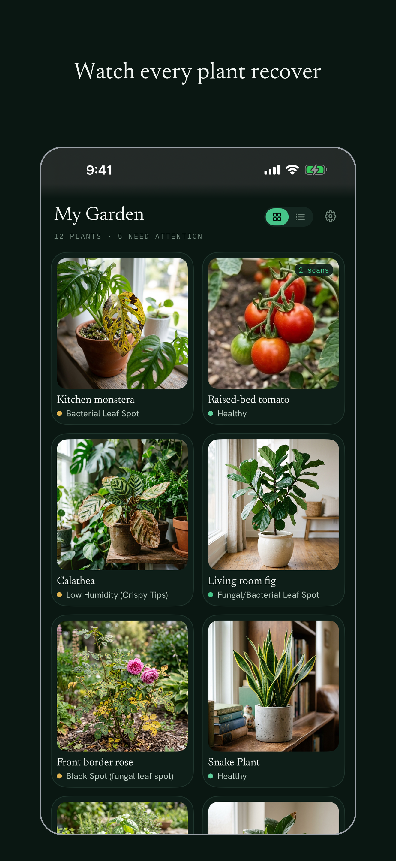 Plynt: Plant Disease Diagnosis screenshot 4